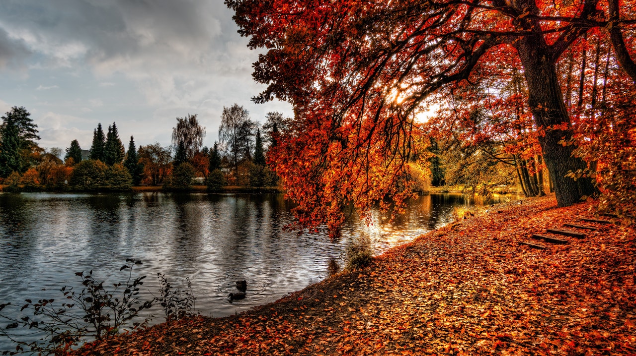 view-of-lake-in-fall