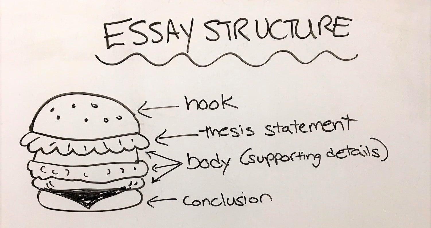 Organization of an essay